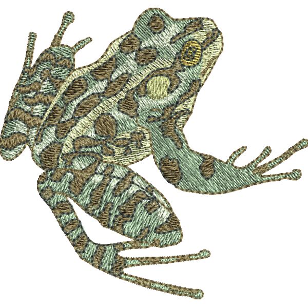 WP068 Thumbnail
