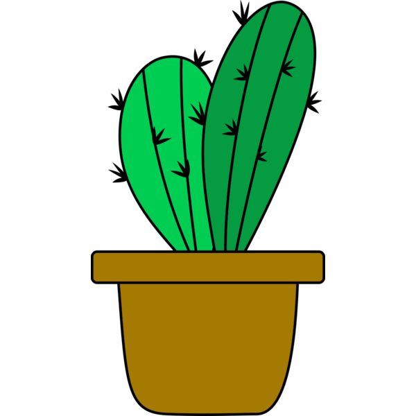 Cactus 4 Thumbnail
